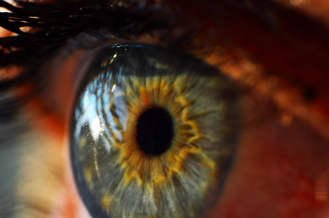 6 curiosidades más resaltantes de ojo humano