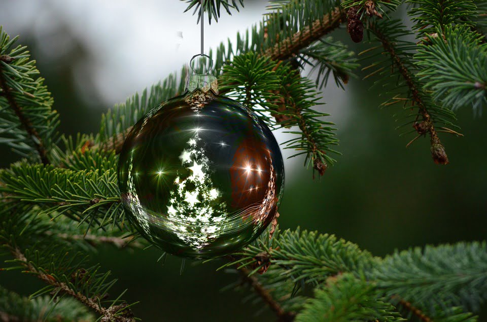 ¿Sabes decorar tu árbol de Navidad?